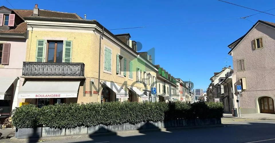 EXCLUSIF ET RARE : PETIT IMMEUBLE MIXTE DANS LE VIEUX CAROUGE