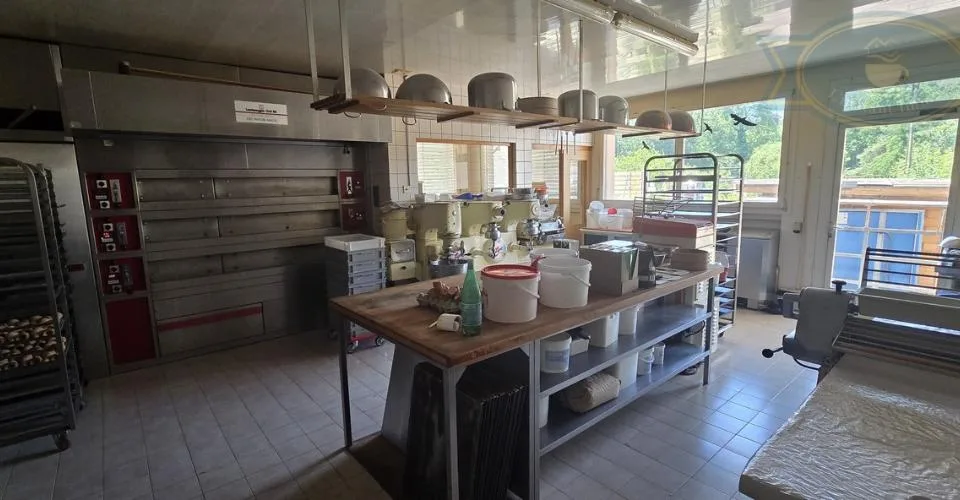 Immeuble avec un grand appartement, laboratoire et logement