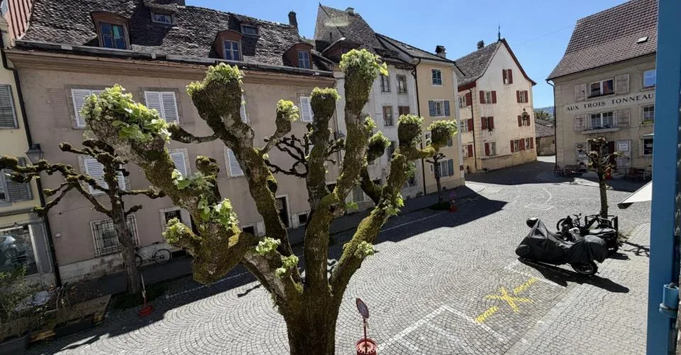 À vendre à Porrentruy bel immeuble de 2 appartements et 1 commerce