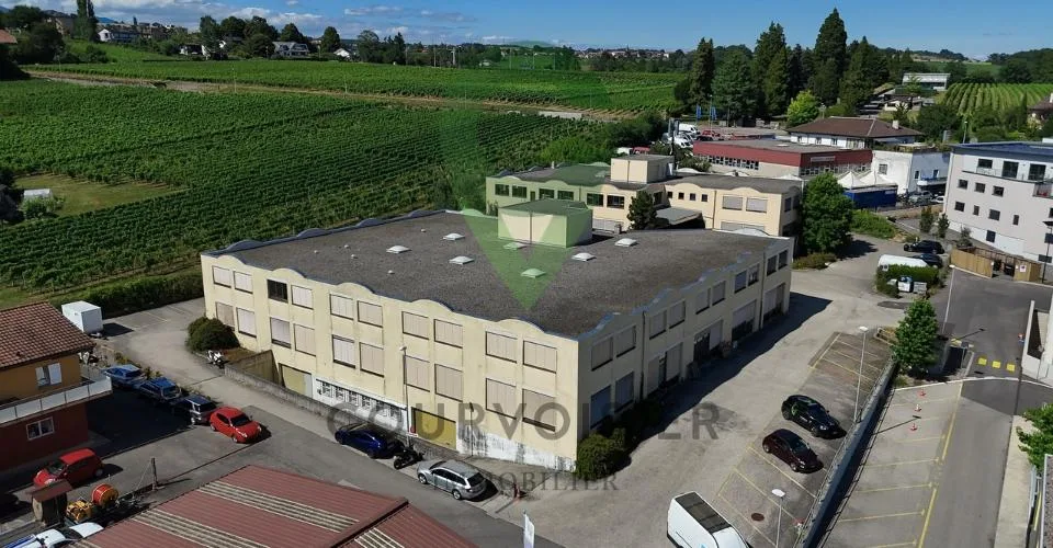 Espace lumineux, modulable et parfait pour un espace de co-working