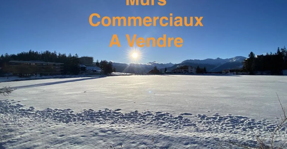 Murs commerciaux à vendre à Ayent