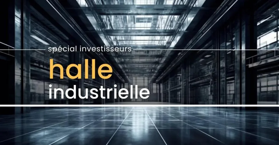 Sierre | Iles Falcon - Grande surface industrielle