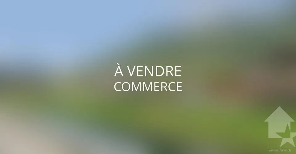 Commerce à vendre au centre de Fully