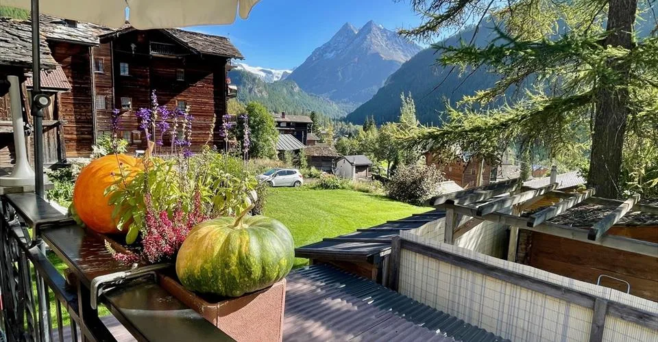 Rentabilité et authenticité au cœur des Alpes