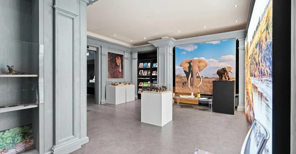 Local commercial 430m2 rue commerçante