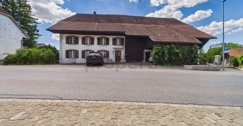 Historisches 8.5-Zimmer-Bauernhaus mit Charme, Pferdestall und gros...