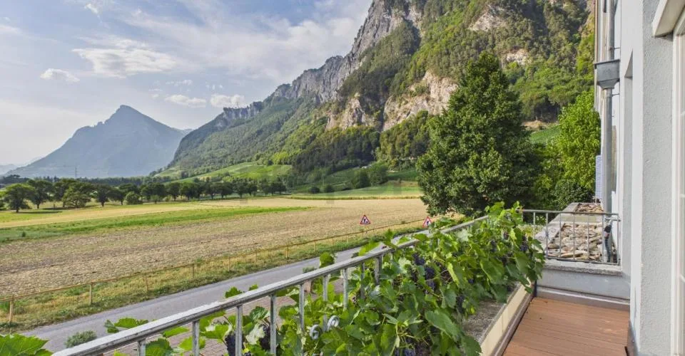 Bündner Herrschaft vor der Haustüre-stilvoll wohnen mit Alpenblick