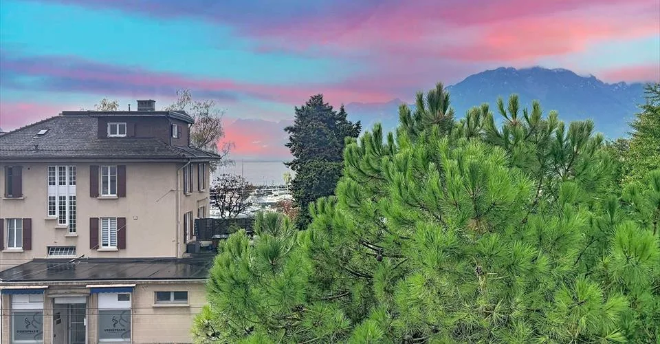 Meraviglioso appartamento di 3,5 locali con caminetto a Clarens – foto 25 di 41