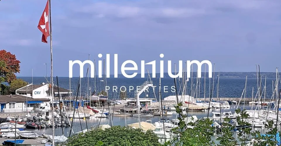 Magnifique villa avec jardin à deux pas du lac