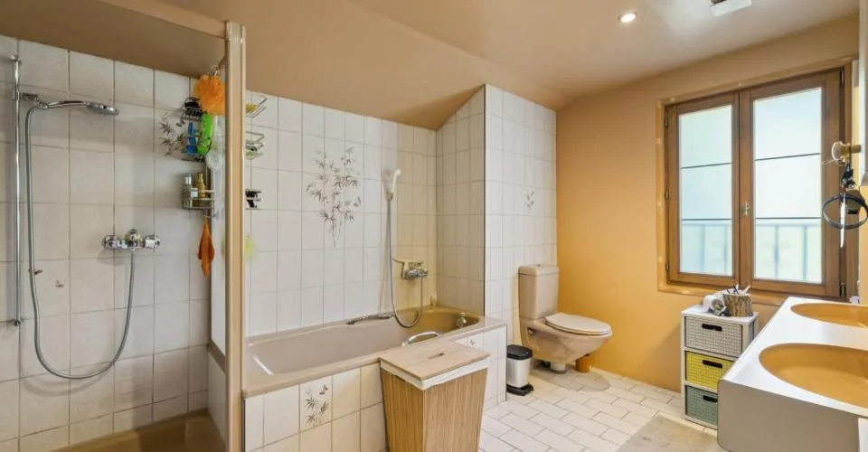 Chalet ristrutturato sulle alture di Gryon, studio indipendente, vista panoramica – foto 18 di 22