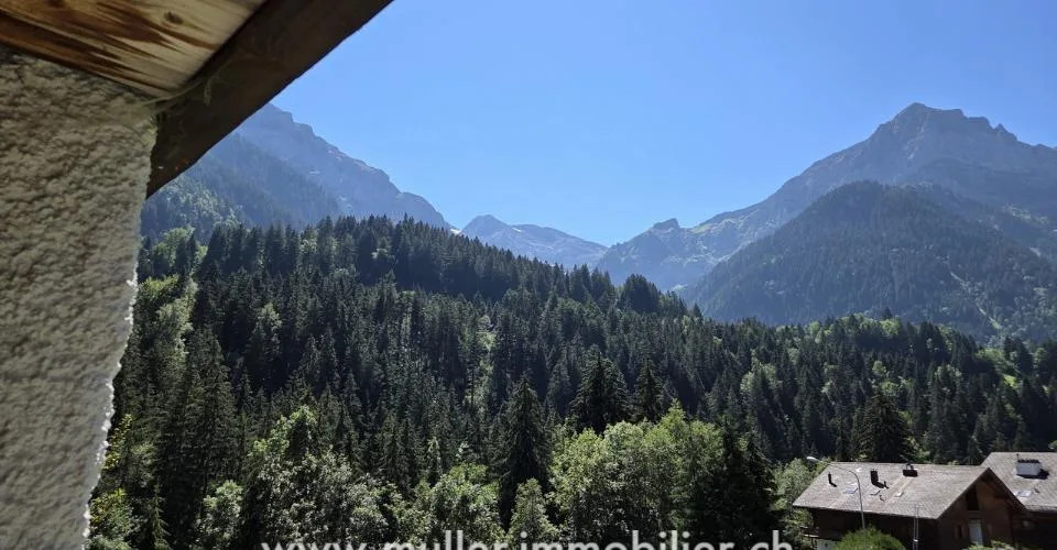 Spacieux chalet, vue sur les Dents du Midi à Champéry – foto 8 di 15