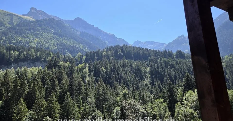 Spacieux chalet, vue sur les Dents du Midi à Champéry – foto 10 di 15