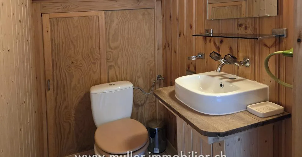 Spacieux chalet, vue sur les Dents du Midi à Champéry – foto 7 di 15