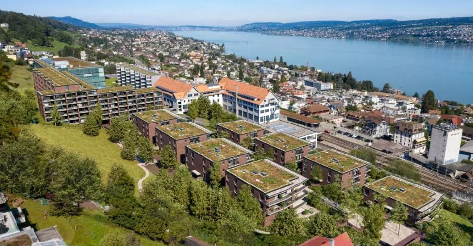 Vie centrale à Horgen Oberdorf