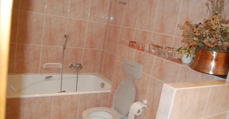 Appartement 3.5 pièces à louer – foto 4 di 8