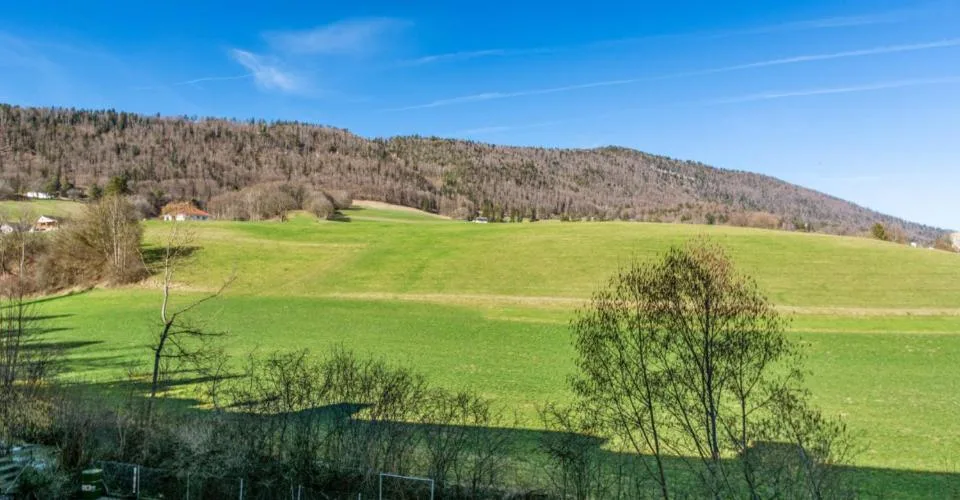 Perrefitte - à l'entrée du village, dans une PPE très bien entretenue