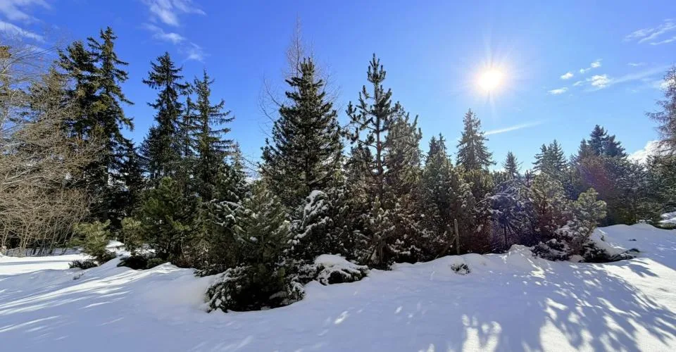BIEN D'EXCEPTION - Superbe 4.5 pièces - Spacieux et Lumineux - Résidence de très haut standing - Très bien situé - Espace Wellness - Ski-in/Ski-out