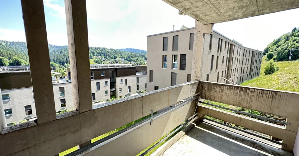 Lumineux avec vue sur la campagne - 3 mois de loyers nets offerts
