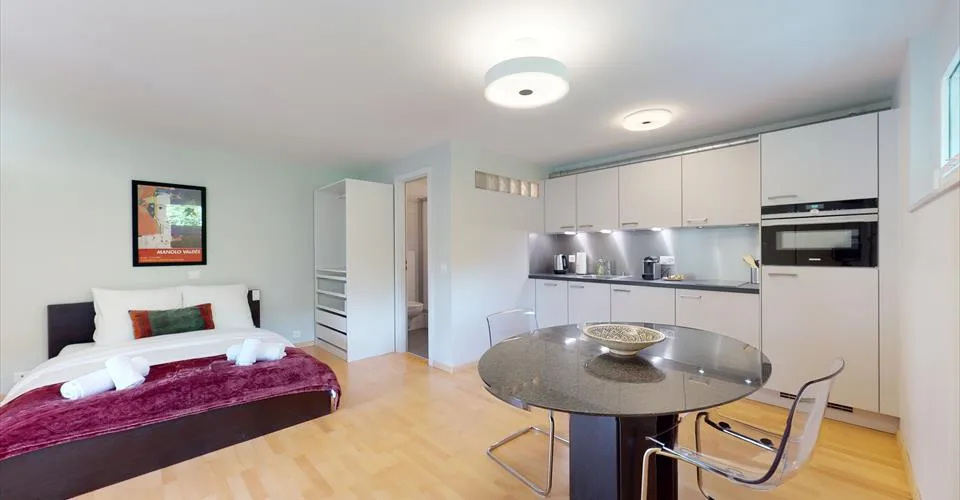 Studio spacieux dans un quartier paisible à Sierre - Disponible entre 3 et 6 mois – Foto 6 von 21