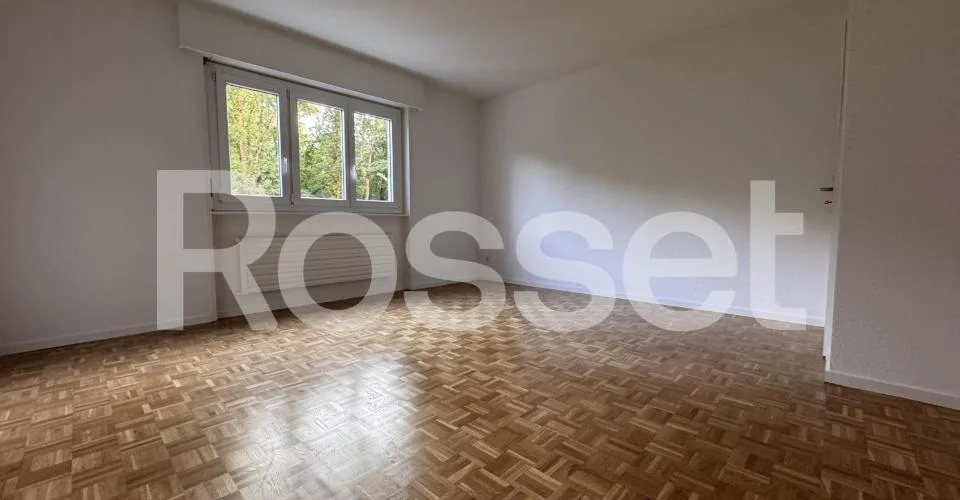 Appartement 4½ pièces au 1er sous-sol