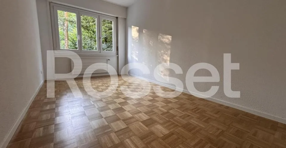 Appartement 4½ pièces au 1er sous-sol