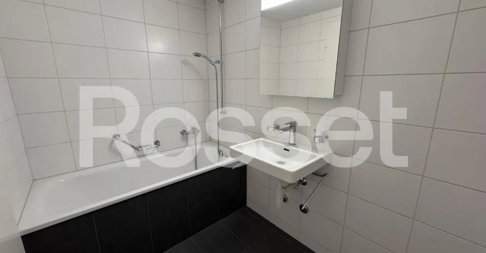 Appartement 4½ pièces au 1er sous-sol