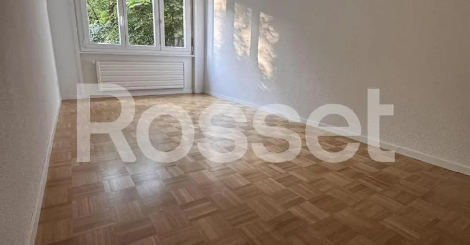 Appartement 4½ pièces au 1er sous-sol