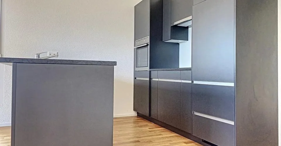 Splendide 3.5 pièces en attique avec une énorme terrasse
