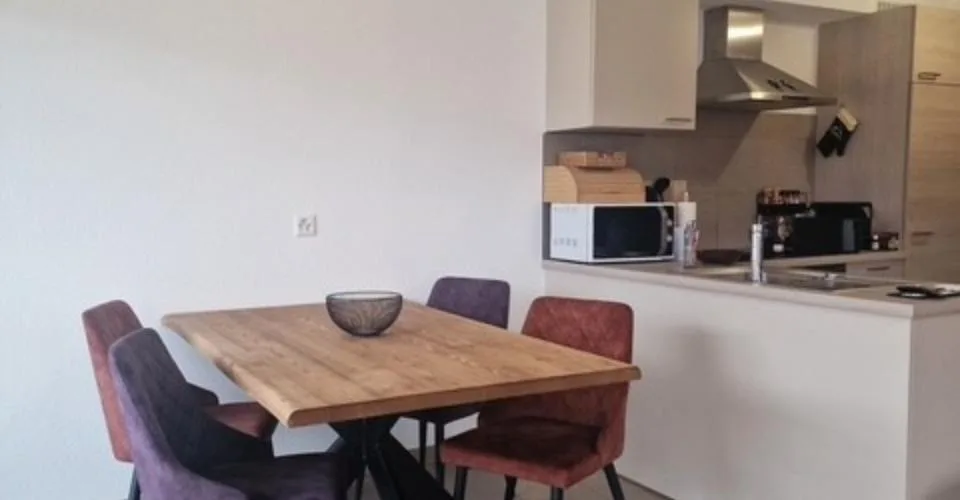 Appartement meublé de 2,5 pièces avec balcon