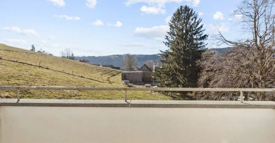 Rénové - balcon - bon emplacement
