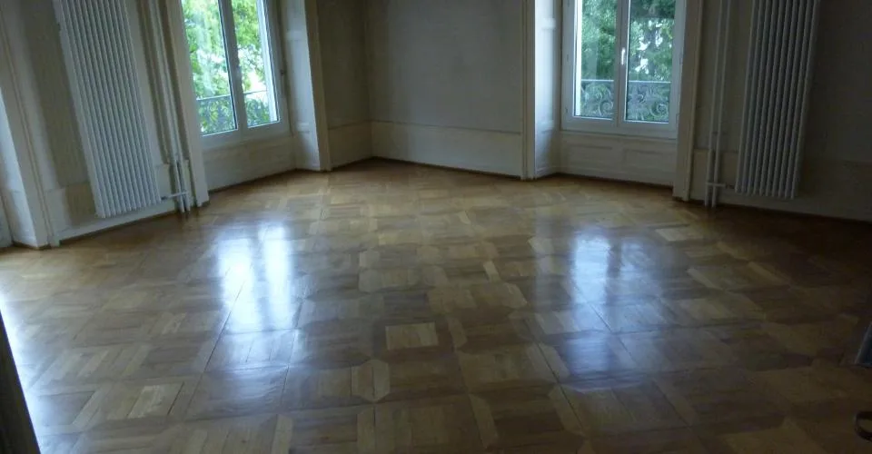Grand appartement avec cachet, vue sur le lac et p.p. ext. disponible