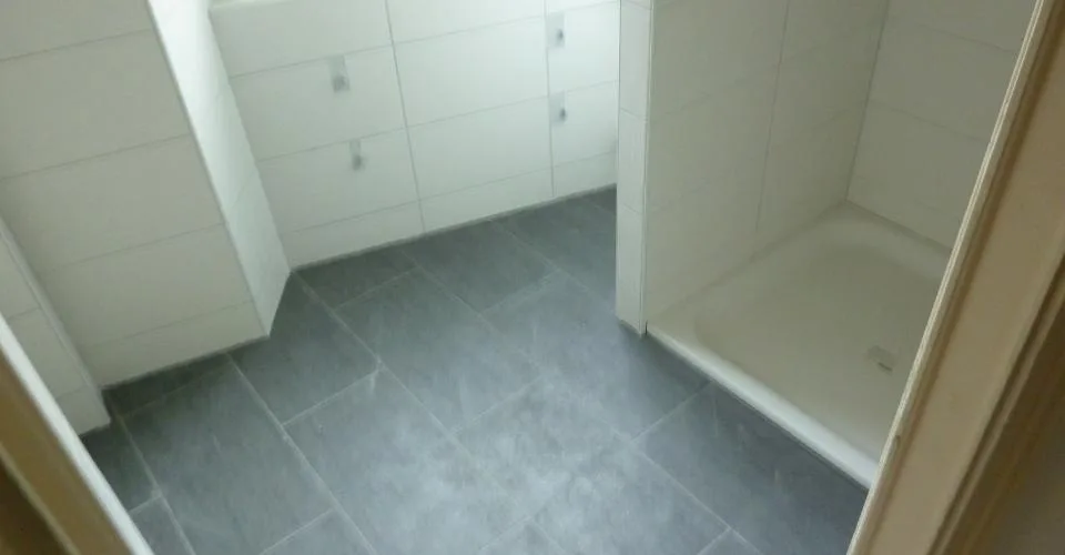 Grand appartement avec cachet, vue sur le lac et p.p. ext. disponible