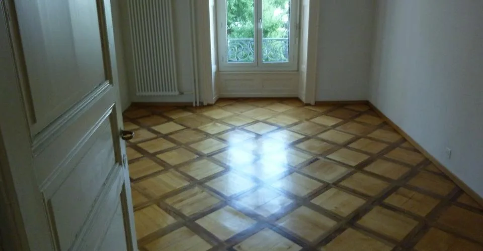 Grand appartement avec cachet, vue sur le lac et p.p. ext. disponible