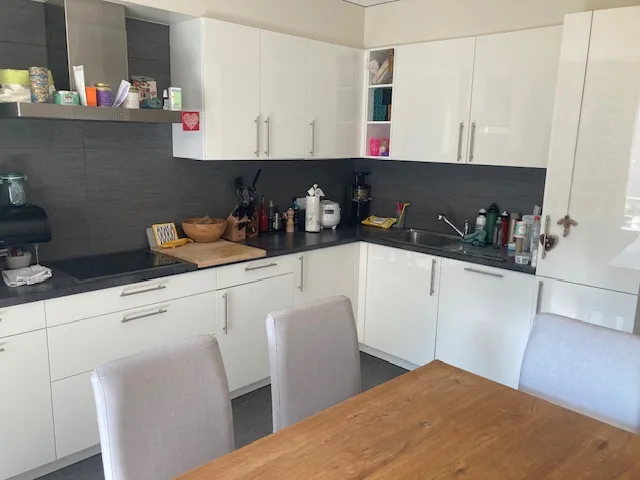 Grand appartement avec cachet, vue sur le lac et p.p. ext. disponible