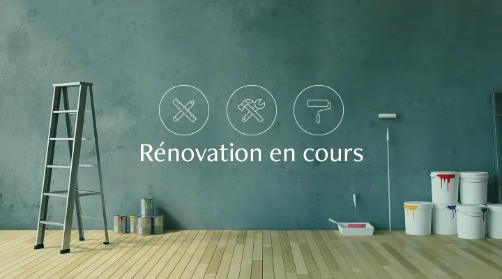 3 pièces lumineux en cours de rénovation - Bd. Henri-Plumhof 16