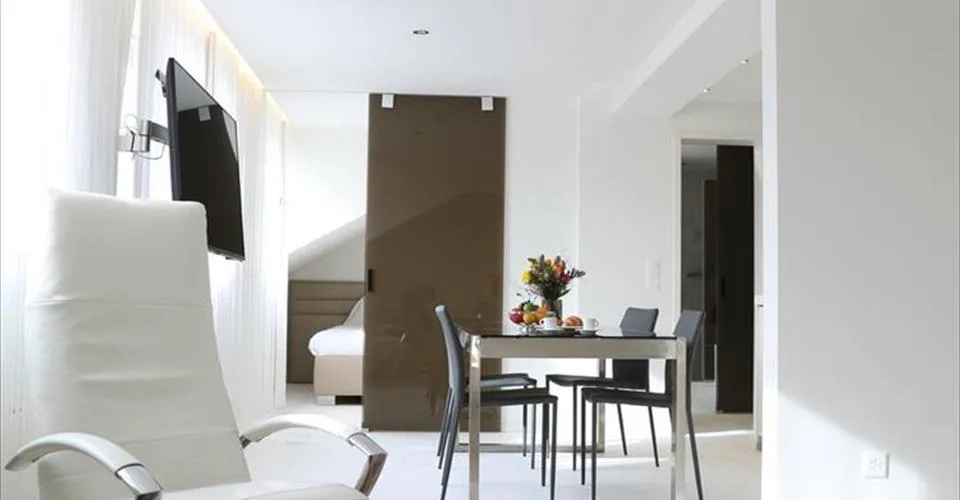 Grand Appartement Terrasse