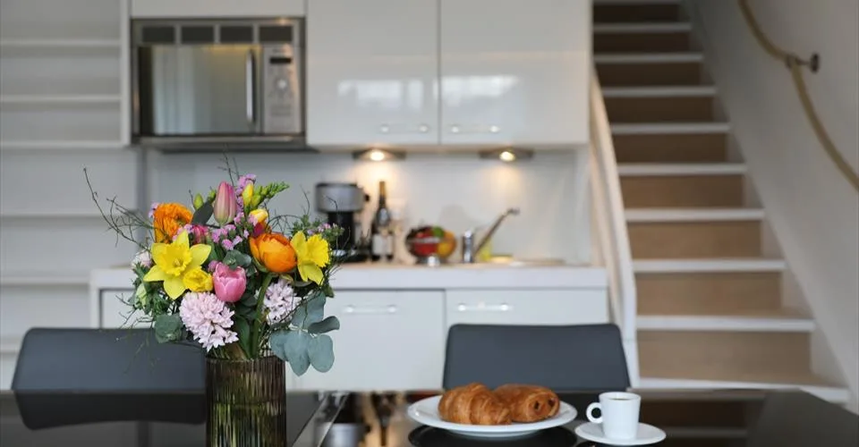 Grand Appartement Terrasse