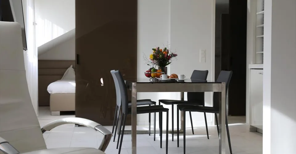 Grand Appartement Terrasse