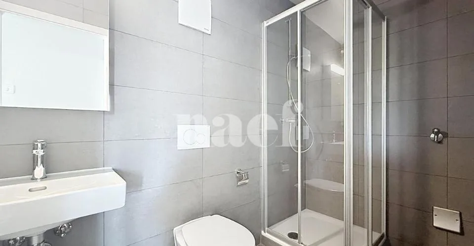 Appartement NEUF de 4.5 pièces
