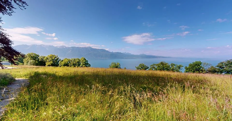 Appartement au cœur de Lavaux avec une imprenable sur le lac