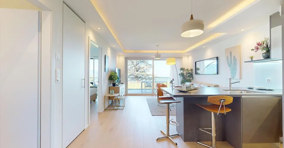 Appartement au cœur de Lavaux avec une imprenable sur le lac