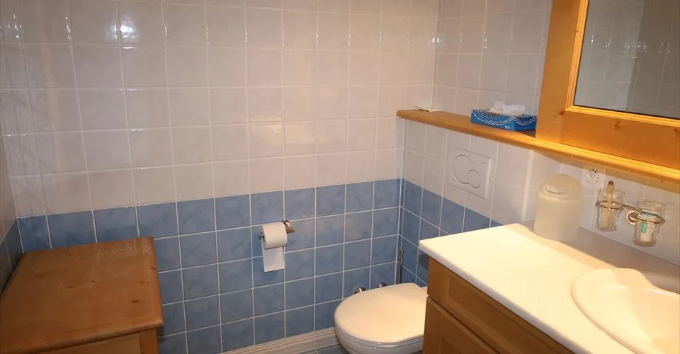 Bel appartement 3.5 pièces à louer