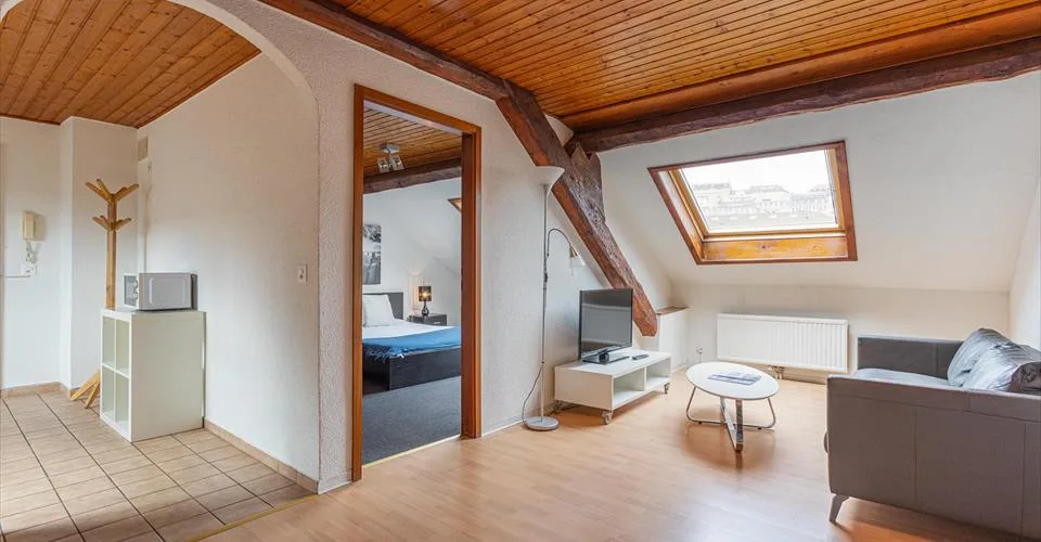 Superbe appartement d’une chambre en étage élevé proche de la gare de Lausanne – Rue du Simplon 10 !