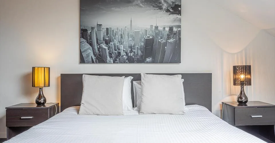Superbe appartement d’une chambre en étage élevé proche de la gare de Lausanne – Rue du Simplon 10 !