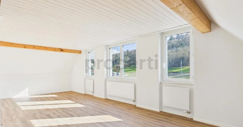 Charmante 4-Zimmer-Maisonette-Wohnung mit Dachgeschoss-Charme in Feuerthalen