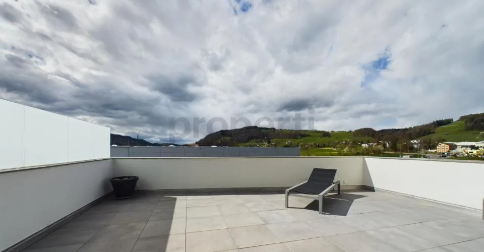 Exklusive 6.5-Zimmer-Dachwohnung mit Dachterrasse in Neftenbach
