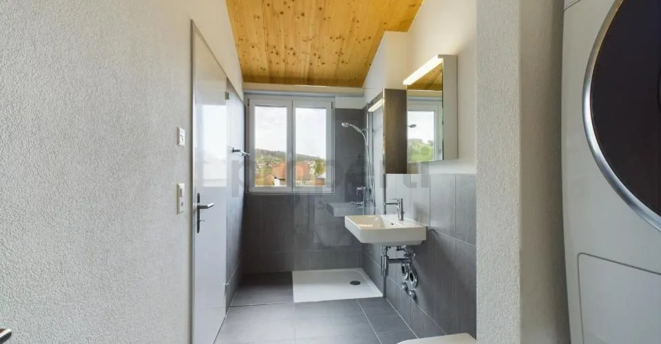 Exklusive 6.5-Zimmer-Dachwohnung mit Dachterrasse in Neftenbach