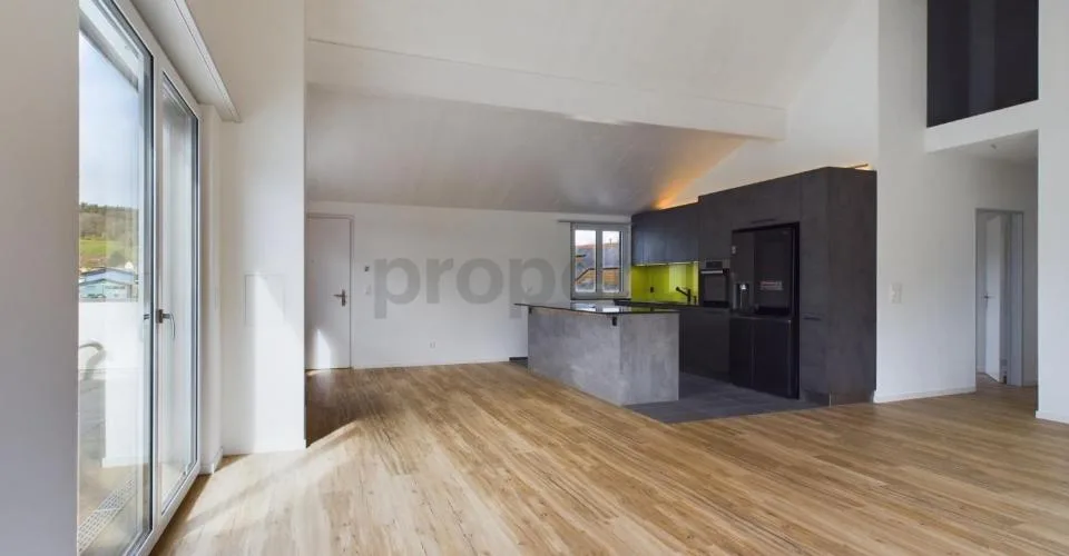 Exklusive 6.5-Zimmer-Dachwohnung mit Dachterrasse in Neftenbach