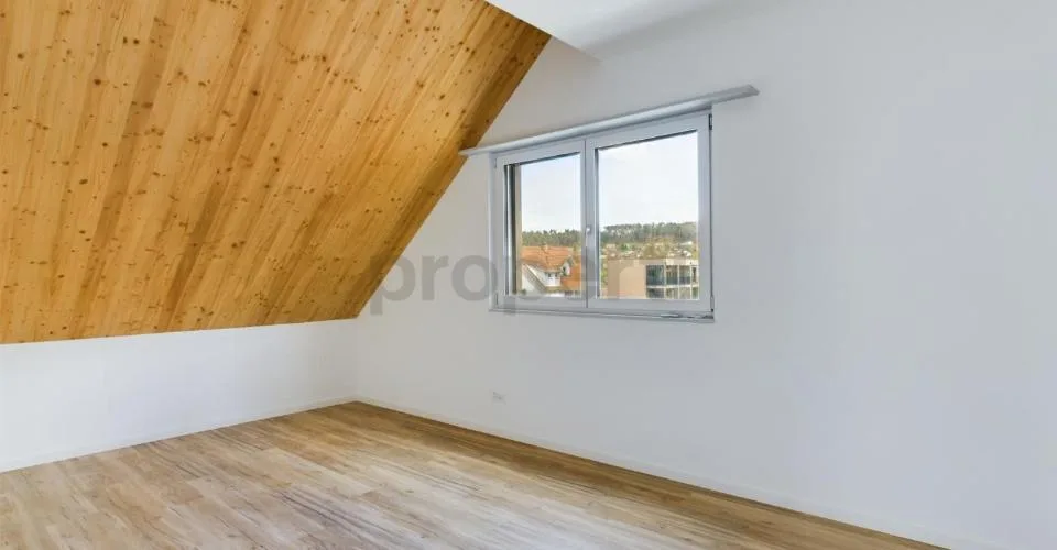 Exklusive 6.5-Zimmer-Dachwohnung mit Dachterrasse in Neftenbach