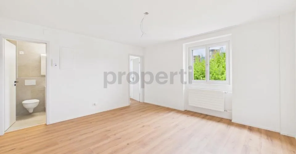Erstbezug nach Renovation  Moderne 1.5-Zimmer-Wohnung mit Pilatusblick